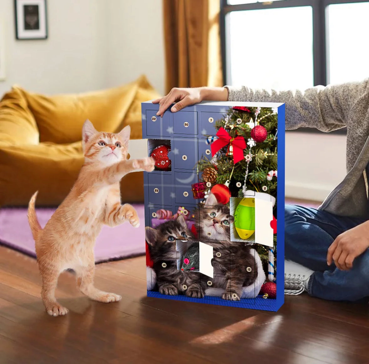 Katzenfreude Adventskalender für Haustiere