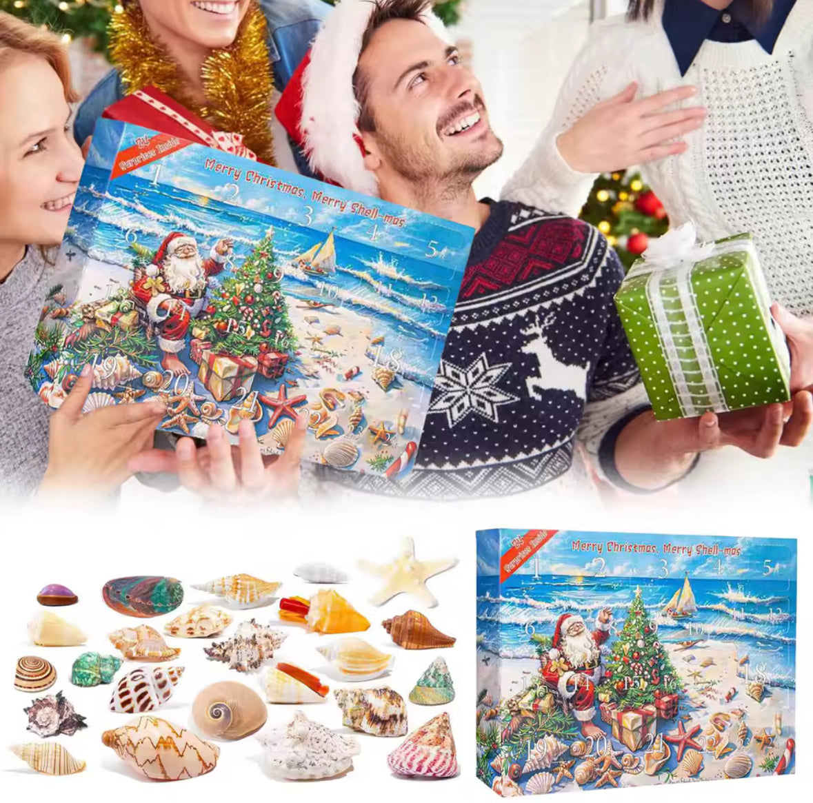 Meeres Muschel Adventskalender